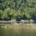 Petit Saguenay #17