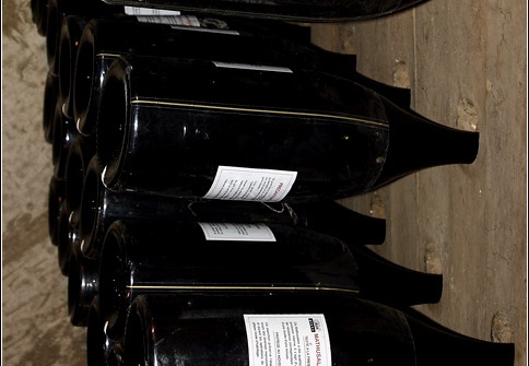 Caves Taittinger #05 (3365 visites) Caves Taittinger #05