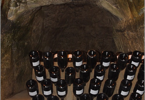 Caves Taittinger #06 (3312 visites) Caves Taittinger #06