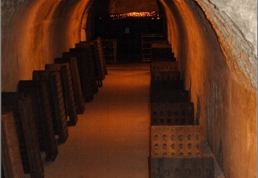 Caves Taittinger #16 (3049 visites) Caves Taittinger #16