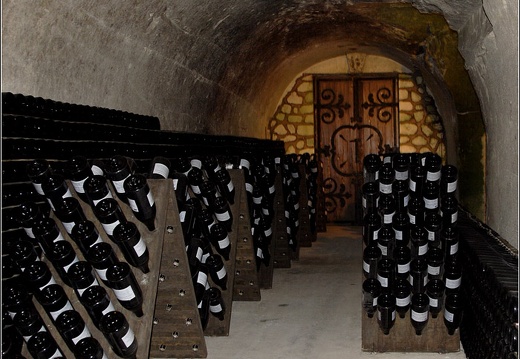 Caves Taittinger #17 (3668 visites) Caves Taittinger #17