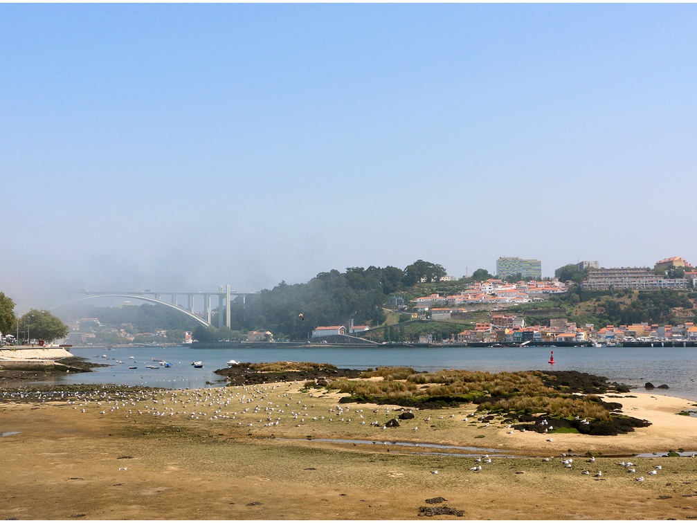 Porto, rives du Douro #31