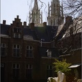 Anvers, jardin botanique #10