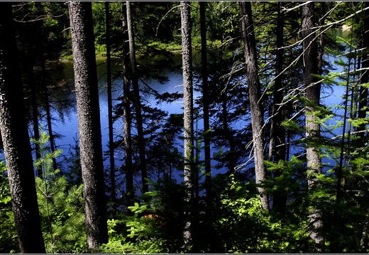 Parc Mont-Tremblant #03 (3932 visites) Parc Mont-Tremblant #03