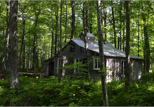 Gîte pour les Amis, Cabane à sucre #02 (1511 visites) Gîte pour les Amis, Cabane à sucre #02