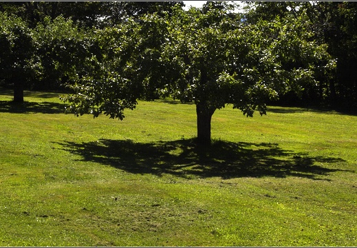 Île d'Orléans, Gîte de la Picardie #03 (1329 visites) Île d'Orléans, Gîte de la Picardie #03