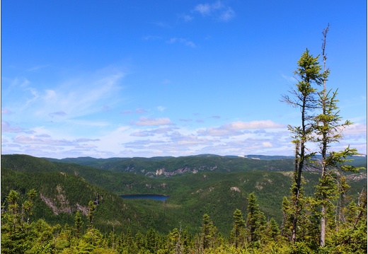 Parc national des grand jardins #01 (442 visites) Parc national des grand jardins #01