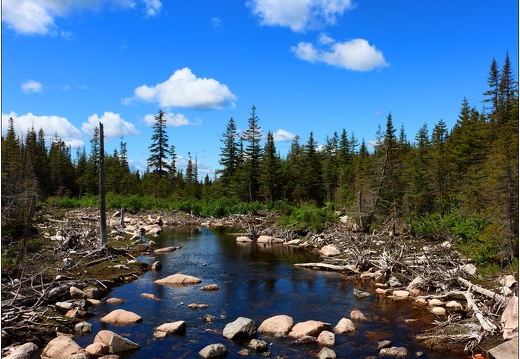 Parc de la Gaspésie #01 (501 visites) Parc de la Gaspésie #01