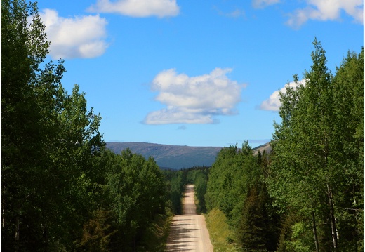 Parc de la Gaspésie #03 (605 visites) Parc de la Gaspésie #03