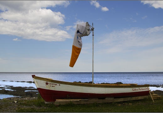 Le Tas-de-Bran-de-Scie, côtes #02 (6756 visites) Le Tas-de-Bran-de-Scie, côtes #02