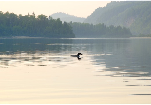 Lac Tousignant (2460 visites, score 4.16) Lac Tousignant