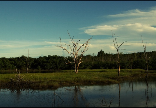 Parcours nature #01 (2818 visites, score 4.50) Parcours nature #01