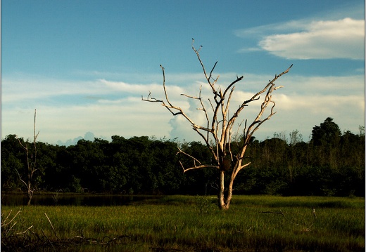 Parcours nature #02 (2600 visites) Parcours nature #02