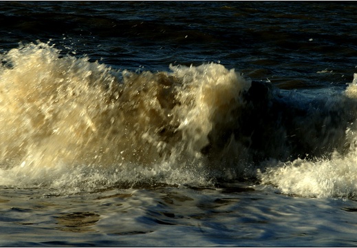 vagues #01 (3388 visites) vagues #01