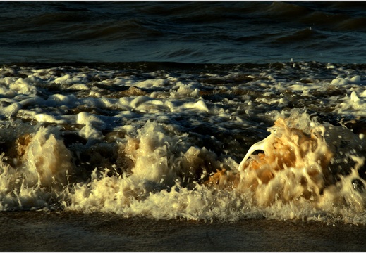vagues #02 (3122 visites) vagues #02