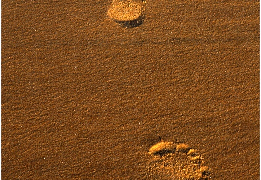 Traces #02 (2382 visites) Traces #02