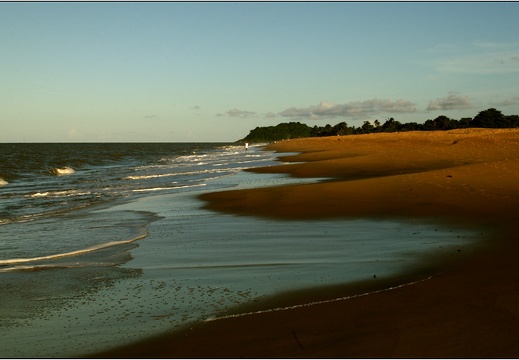 Plage de Montjoly #08 (2257 visites) Plage de Montjoly #08