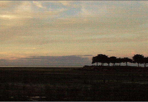 Bord de mer #13 (2135 visites) Bord de mer #13