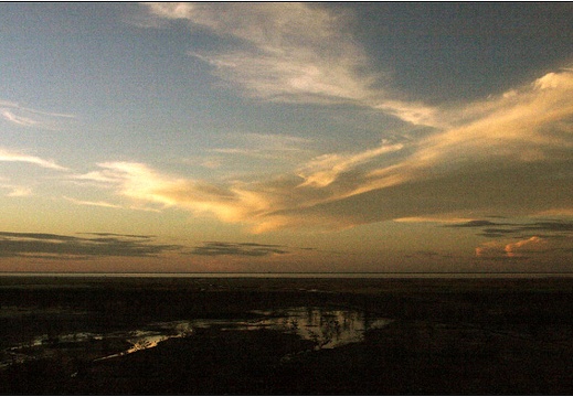 Bord de mer #14 (2446 visites) Bord de mer #14