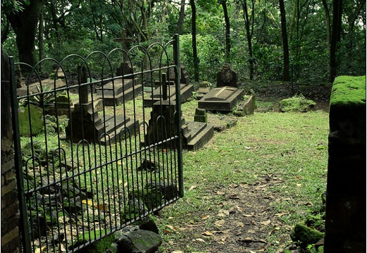 L'île Royale #08 (2422 visites, score 4.50) Le cimetière des enfants. L'île Royale #08