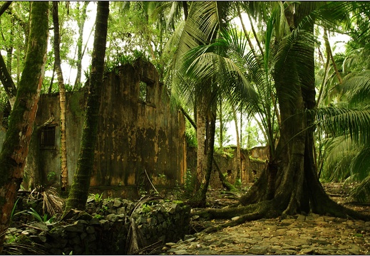L'île St Joseph #01 (4445 visites) L'île St Joseph #01