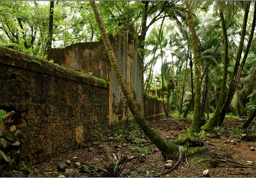 L'île St Joseph #03 (2503 visites) L'île St Joseph #03