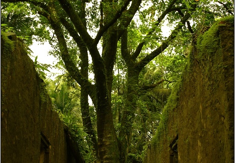 L'île St Joseph #10 (2621 visites) L'île St Joseph #10
