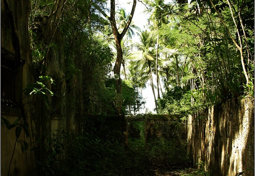 L'île St Joseph #29 (3128 visites) L'île St Joseph #29