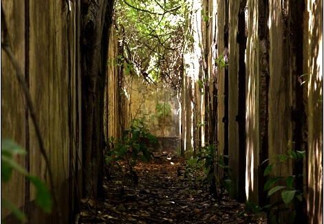 L'île St Joseph #33 (3233 visites) L'île St Joseph #33