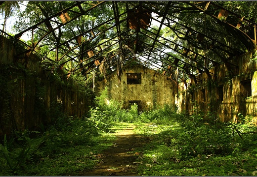 L'île St Joseph #44 (2377 visites) L'île St Joseph #44