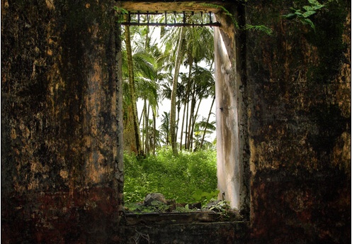 L'île St Joseph #46 (4487 visites) L'île St Joseph #46