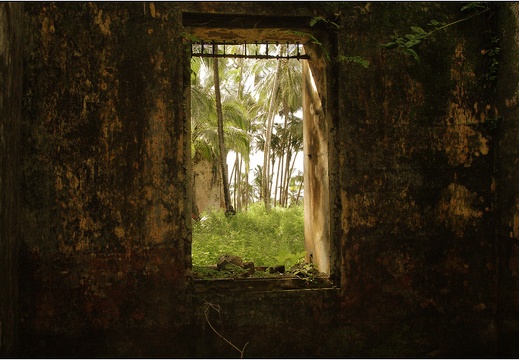 L'île St Joseph #47 (4313 visites, score 4.50) L'île St Joseph #47