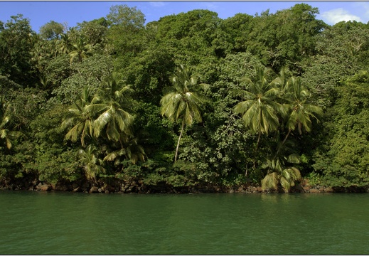 L'île St Joseph #53 (5295 visites) L'île St Joseph #53
