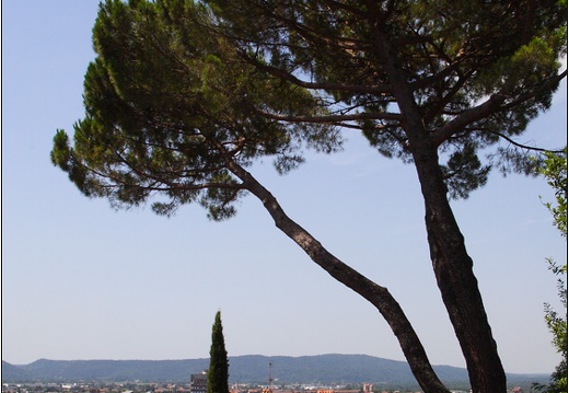 Gorizia #01 (560 visites) Gorizia #01