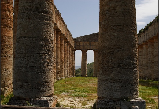 Ségeste, le temple #03 (1156 visites) Ségeste, le temple #03