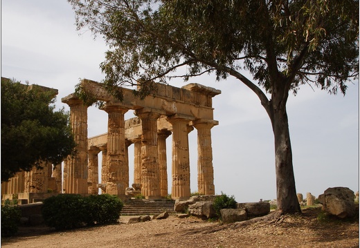 Sélinonte, le temple E #02 (926 visites) Sélinonte, le temple E #02