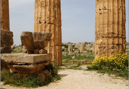 Sélinonte, le temple E #03 (1589 visites) Sélinonte, le temple E #03