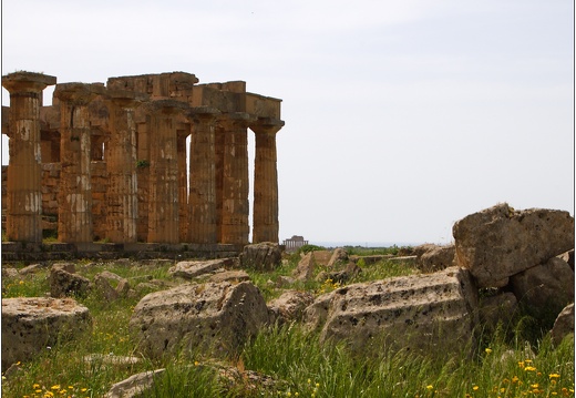 Sélinonte, le temple E #04 (1376 visites) Sélinonte, le temple E #04