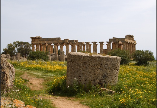 Sélinonte, le temple E #05 (1318 visites) Sélinonte, le temple E #05