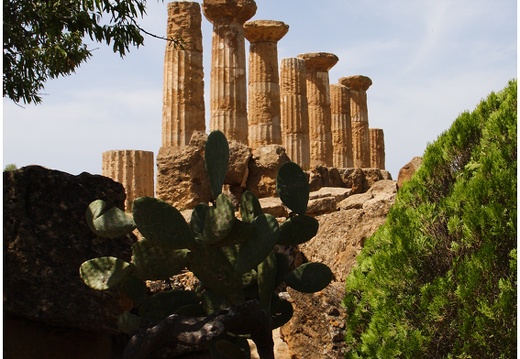 Agrigente, temple d'Hercule #02 (798 visites) Agrigente, temple d'Hercule #02