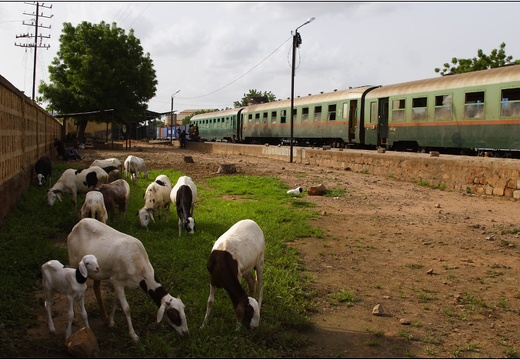 Kayes, gare #29 (3151 visites) Kayes, gare #29