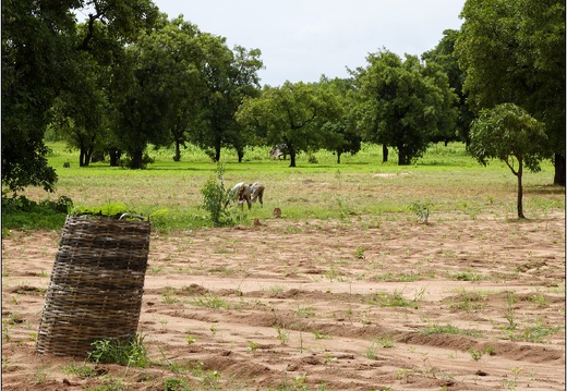 Siby, village #12 (2174 visites) Siby, village #12