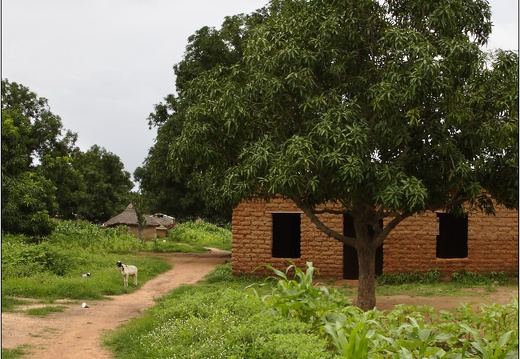 Siby, village #14 (2565 visites) Siby, village #14