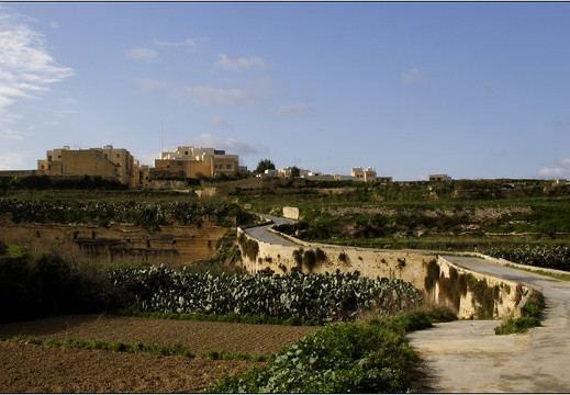 Ta Pinu, Gozo #04 (2281 visites) Ta Pinu, Gozo #04