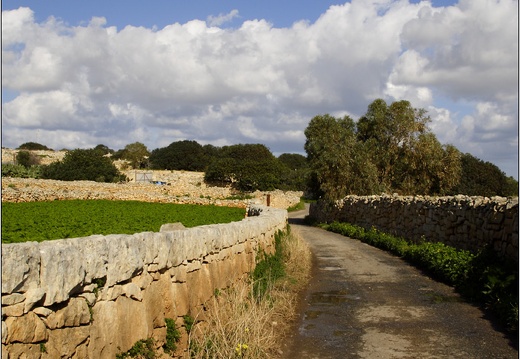 Qrendi #11 (3159 visites) Qrendi #11