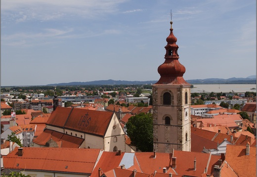 Ptuj, vue du château #14 (1464 visites) Ptuj, vue du château #14