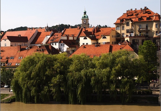 Maribor, rives de la Drave #15 (905 visites) Maribor, rives de la Drave #15
