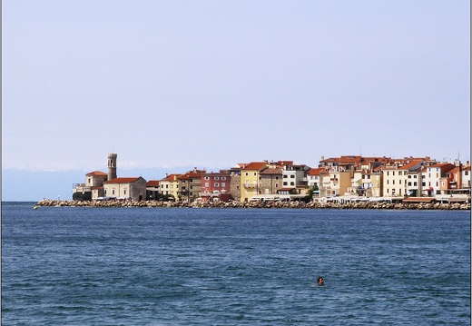 Piran #01 (1017 visites) Piran #01