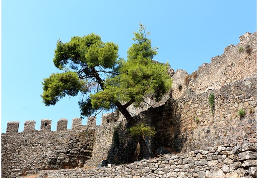 Naupacte, forteresse vénitienne #25 (52 visites) Naupacte, forteresse vénitienne #25