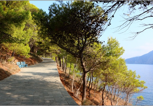 Assos #06 (1029 visites) Assos #06